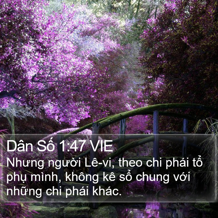 Dân Số 1:47 VIE Bible Study