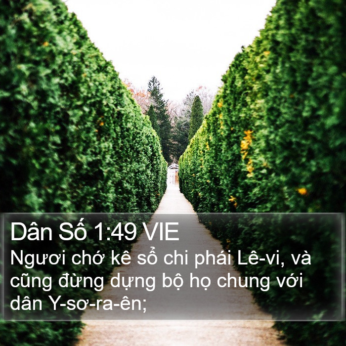 Dân Số 1:49 VIE Bible Study