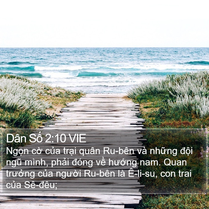 Dân Số 2:10 VIE Bible Study