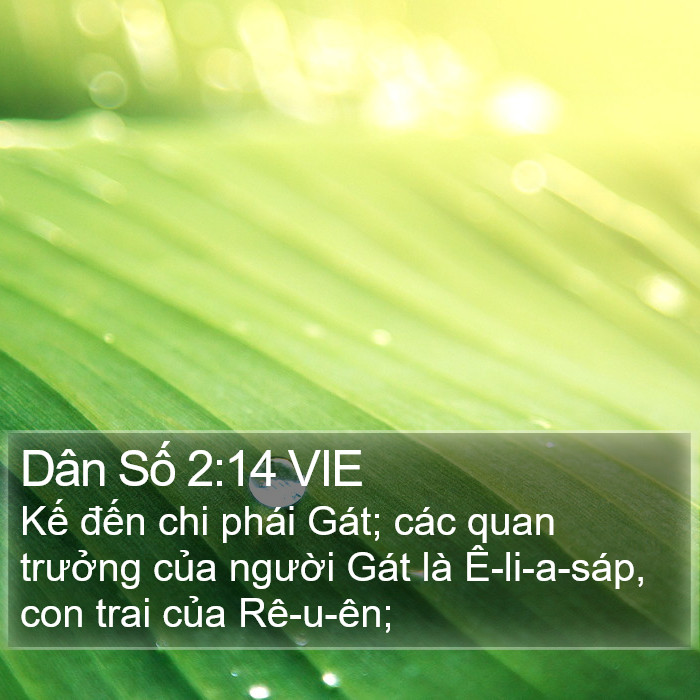 Dân Số 2:14 VIE Bible Study