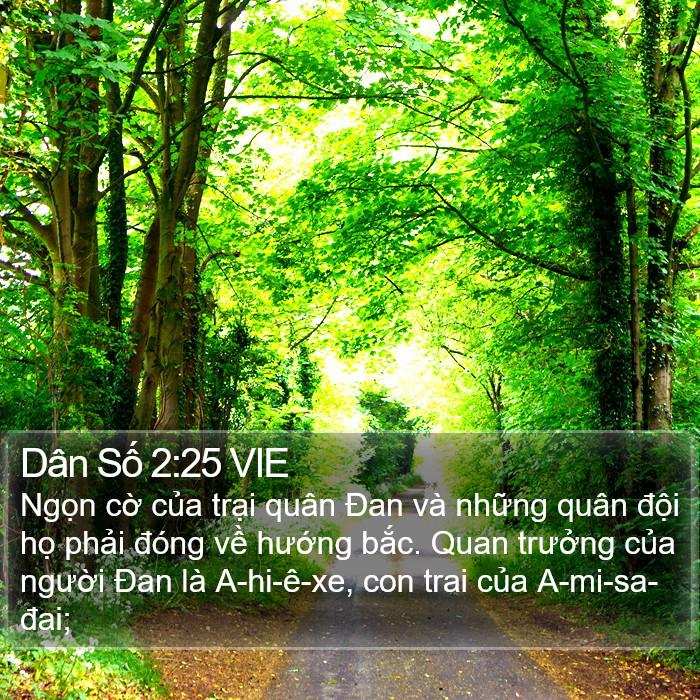 Dân Số 2:25 VIE Bible Study