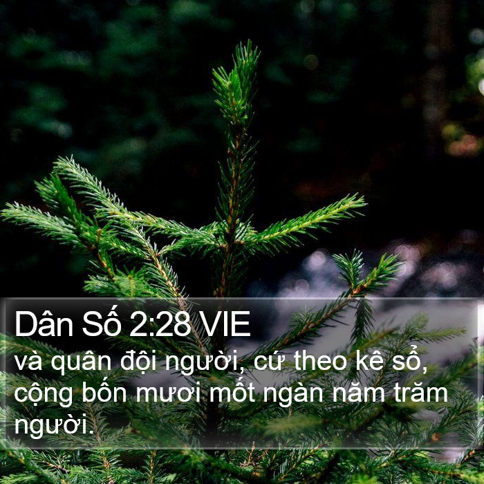 Dân Số 2:28 VIE Bible Study