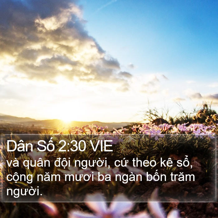 Dân Số 2:30 VIE Bible Study