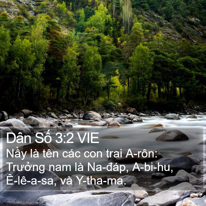 Dân Số 3:2 VIE Bible Study