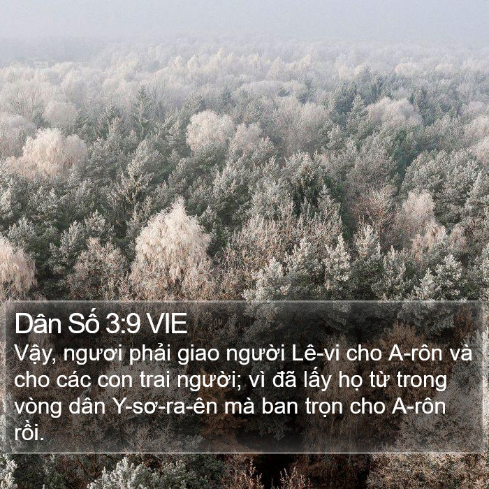 Dân Số 3:9 VIE Bible Study