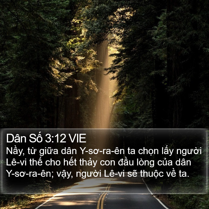 Dân Số 3:12 VIE Bible Study