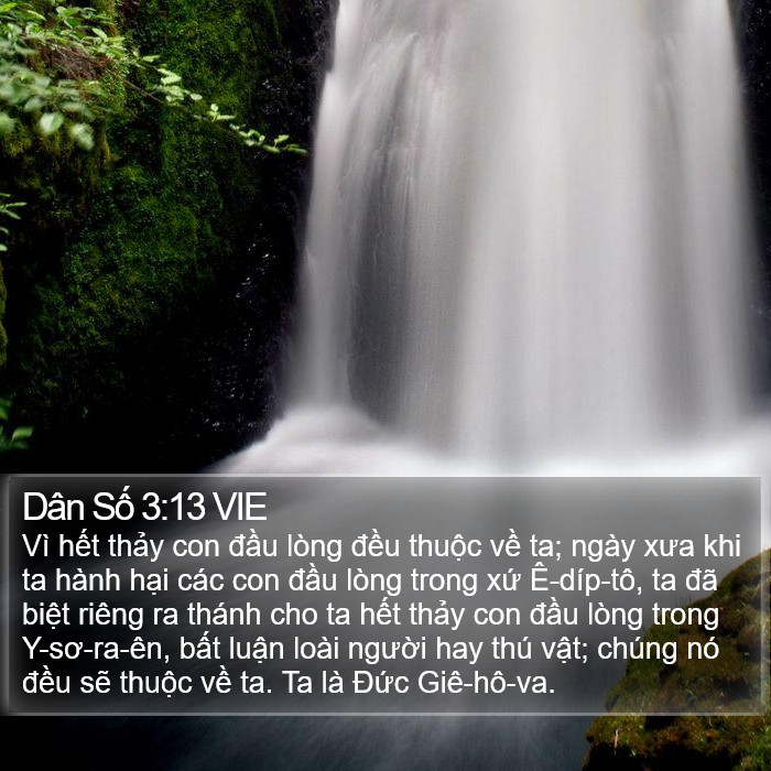 Dân Số 3:13 VIE Bible Study