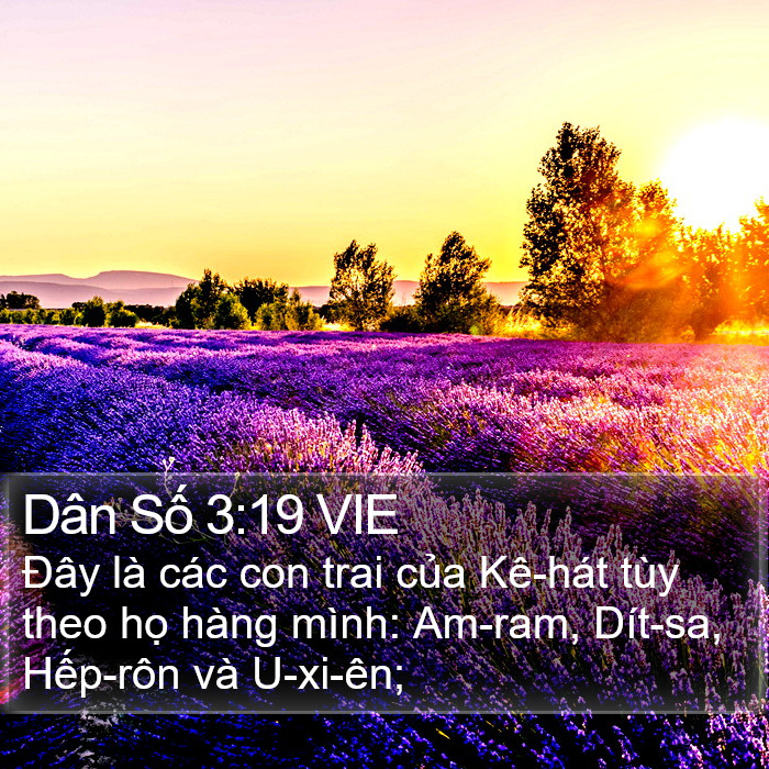 Dân Số 3:19 VIE Bible Study