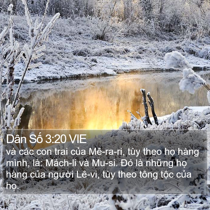 Dân Số 3:20 VIE Bible Study