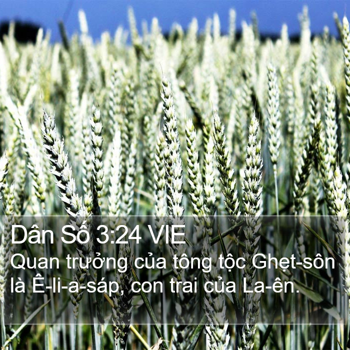 Dân Số 3:24 VIE Bible Study