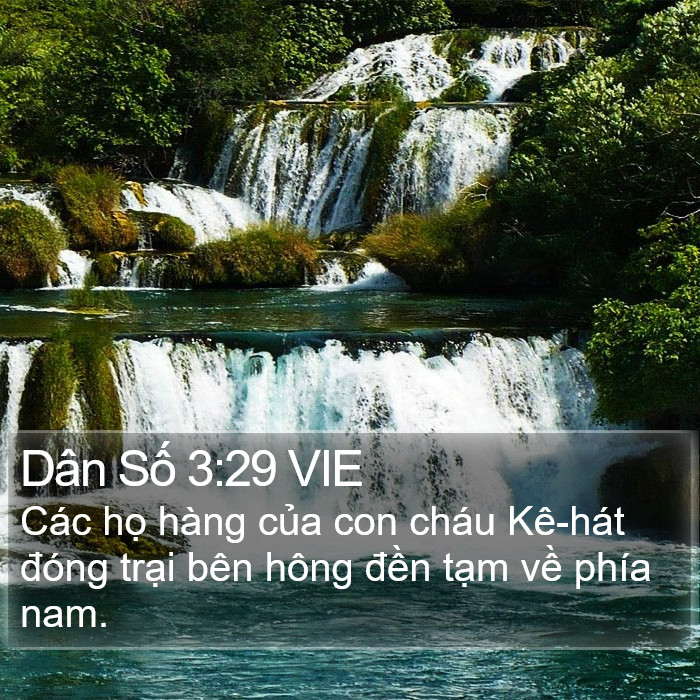 Dân Số 3:29 VIE Bible Study