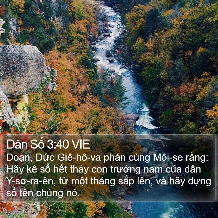 Dân Số 3:40 VIE Bible Study