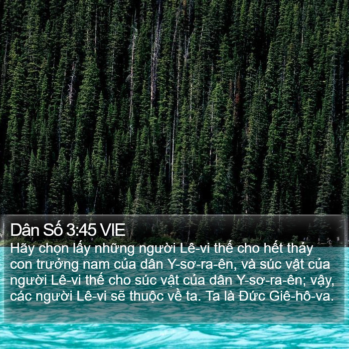 Dân Số 3:45 VIE Bible Study