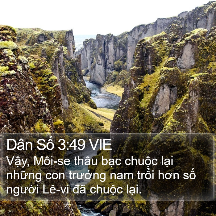 Dân Số 3:49 VIE Bible Study