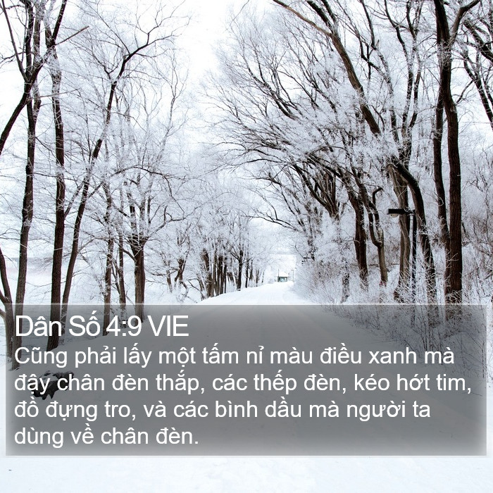 Dân Số 4:9 VIE Bible Study