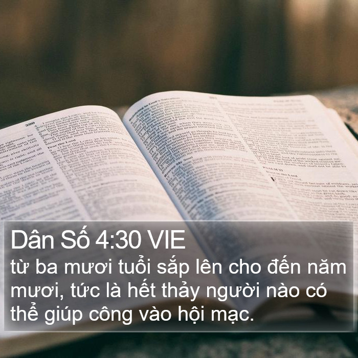 Dân Số 4:30 VIE Bible Study