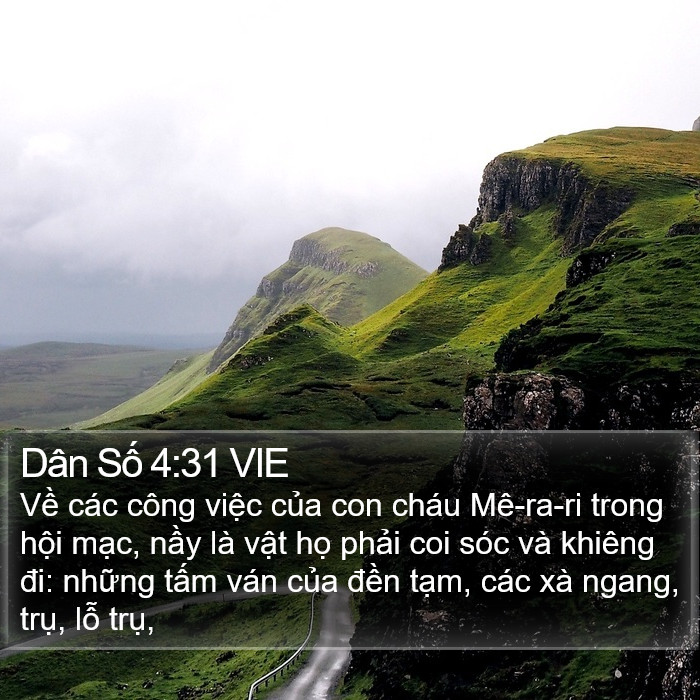 Dân Số 4:31 VIE Bible Study