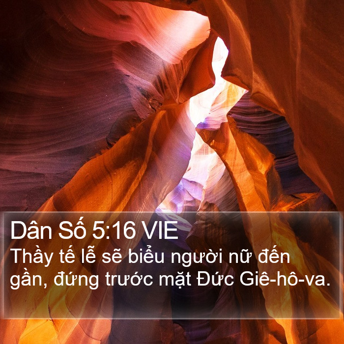 Dân Số 5:16 VIE Bible Study
