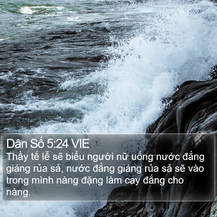 Dân Số 5:24 VIE Bible Study