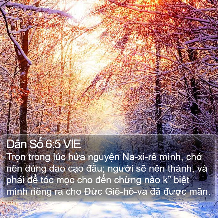 Dân Số 6:5 VIE Bible Study