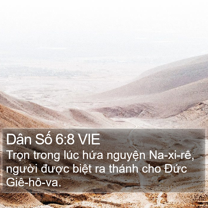 Dân Số 6:8 VIE Bible Study