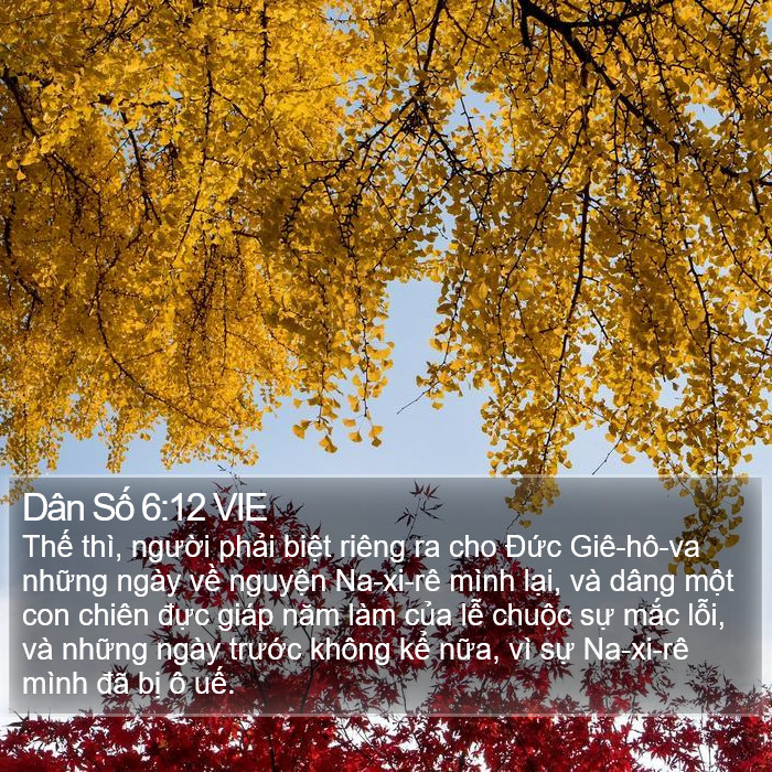 Dân Số 6:12 VIE Bible Study