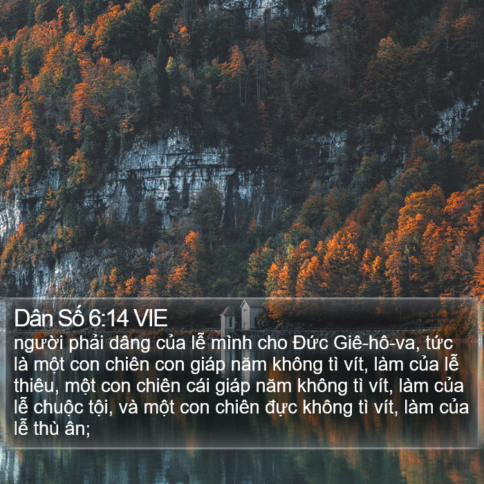 Dân Số 6:14 VIE Bible Study