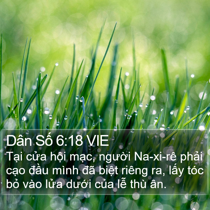 Dân Số 6:18 VIE Bible Study