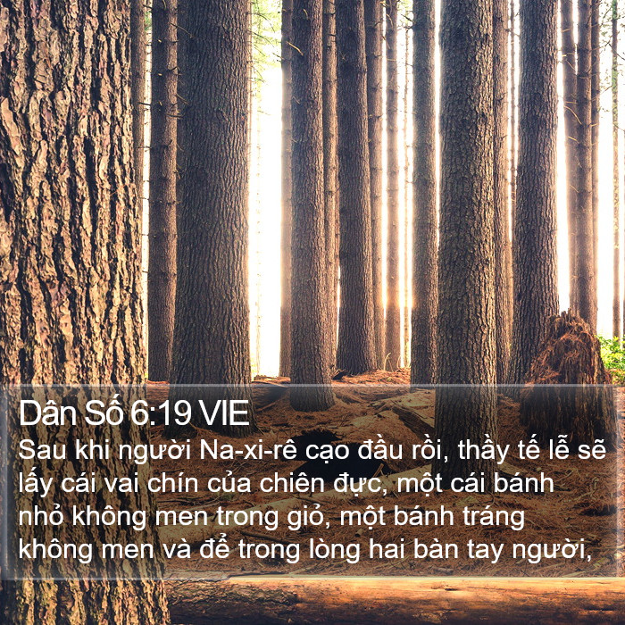 Dân Số 6:19 VIE Bible Study