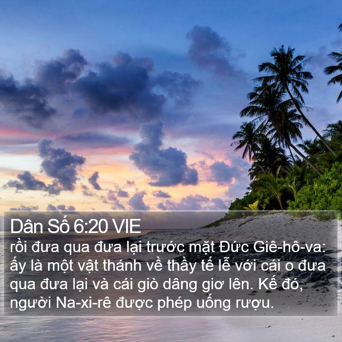 Dân Số 6:20 VIE Bible Study