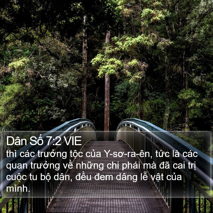 Dân Số 7:2 VIE Bible Study