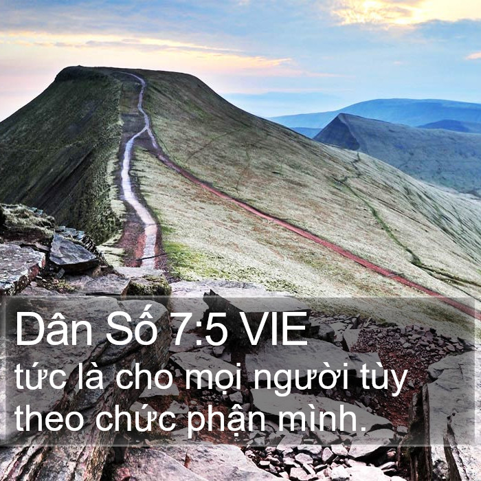 Dân Số 7:5 VIE Bible Study