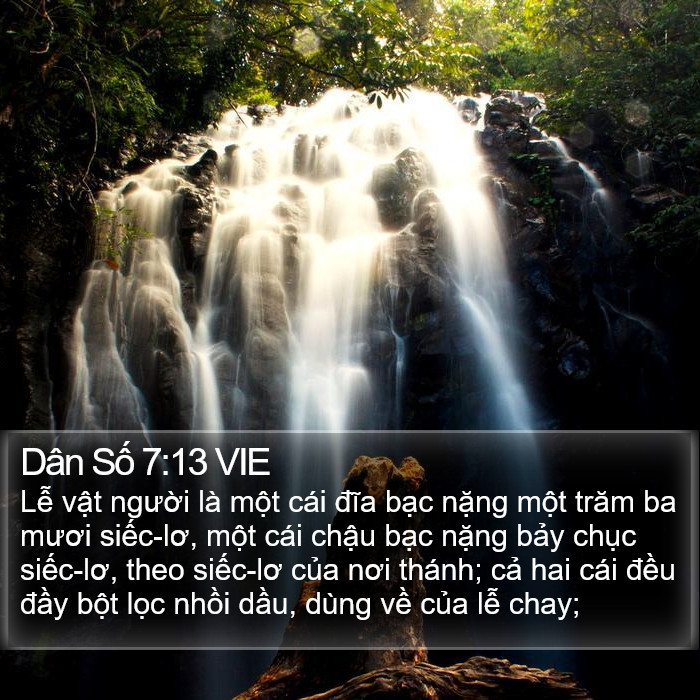 Dân Số 7:13 VIE Bible Study