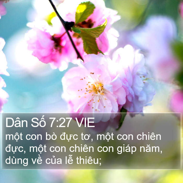 Dân Số 7:27 VIE Bible Study