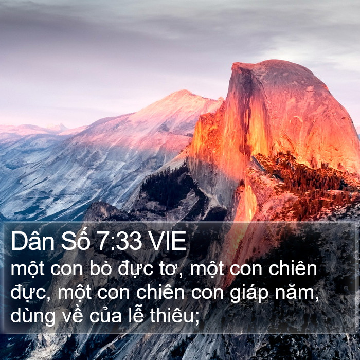 Dân Số 7:33 VIE Bible Study