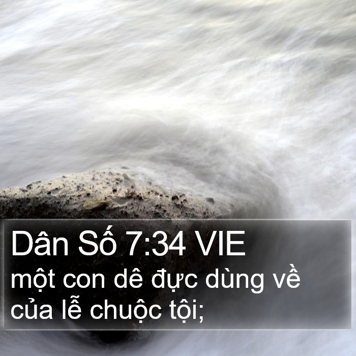 Dân Số 7:34 VIE Bible Study