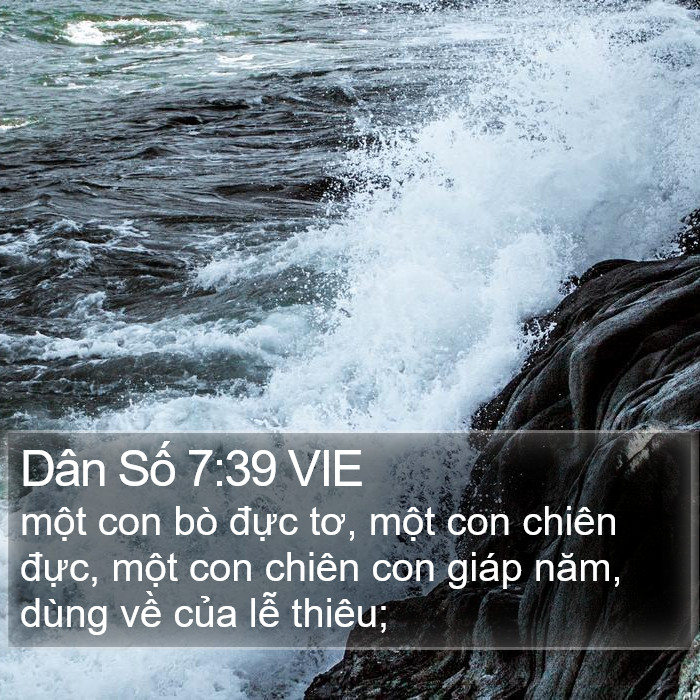 Dân Số 7:39 VIE Bible Study