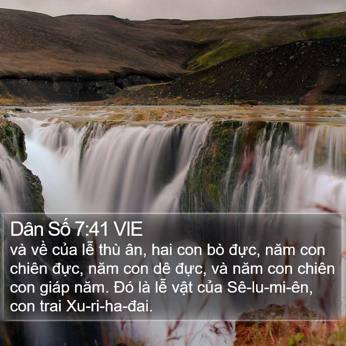 Dân Số 7:41 VIE Bible Study