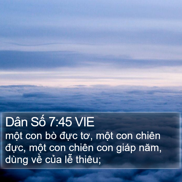 Dân Số 7:45 VIE Bible Study