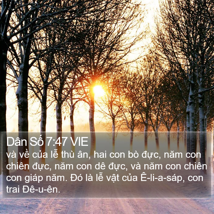 Dân Số 7:47 VIE Bible Study