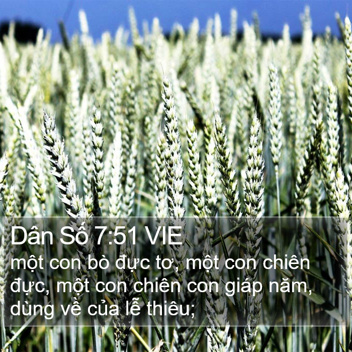 Dân Số 7:51 VIE Bible Study