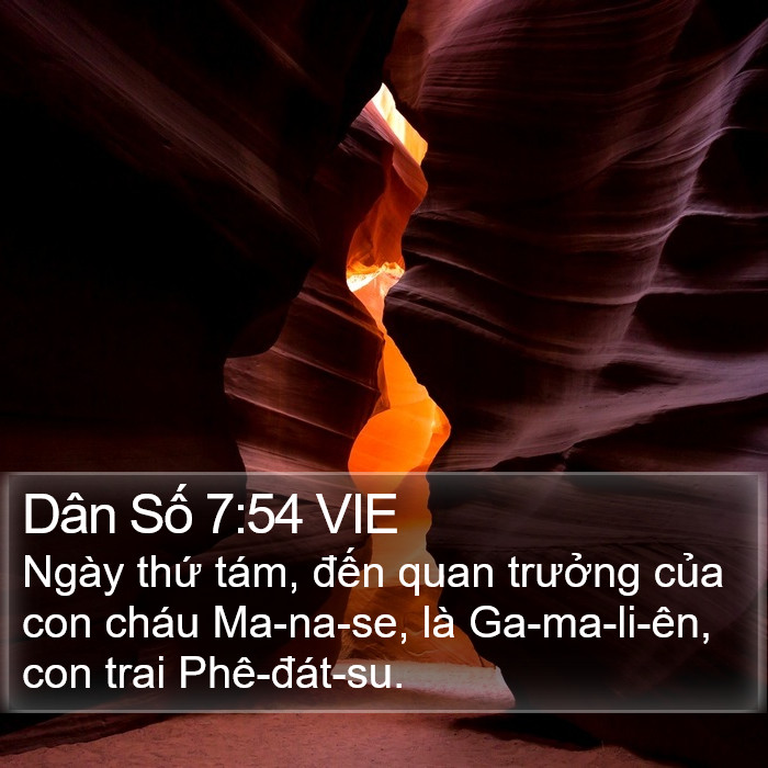 Dân Số 7:54 VIE Bible Study