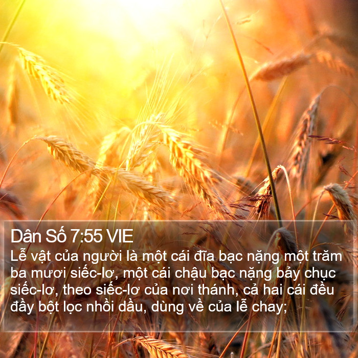 Dân Số 7:55 VIE Bible Study