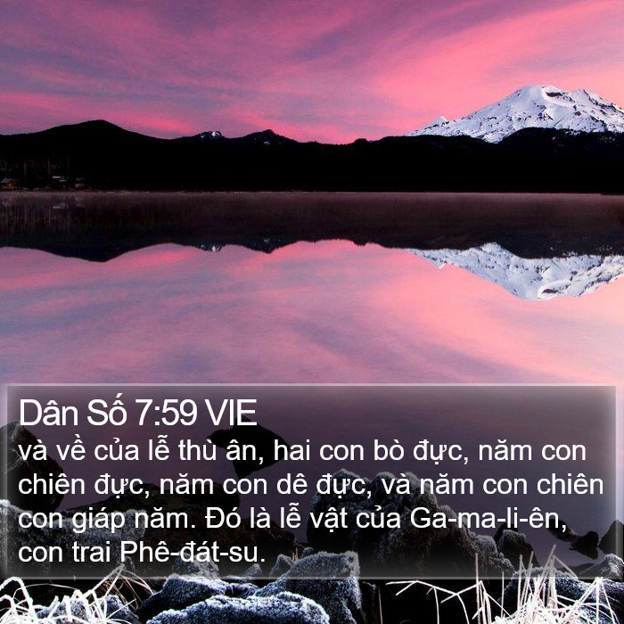 Dân Số 7:59 VIE Bible Study