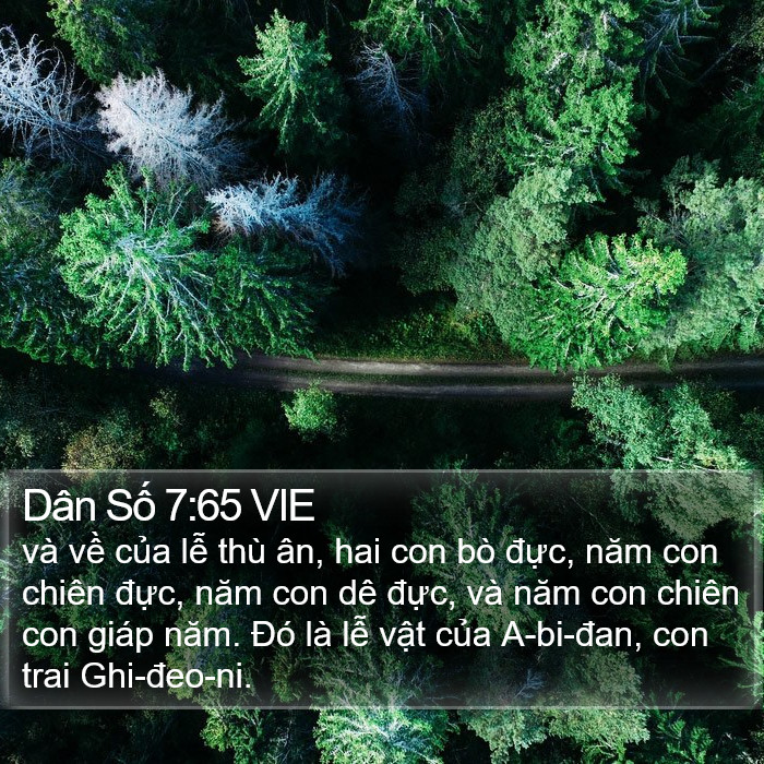 Dân Số 7:65 VIE Bible Study