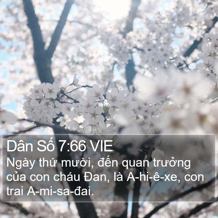 Dân Số 7:66 VIE Bible Study