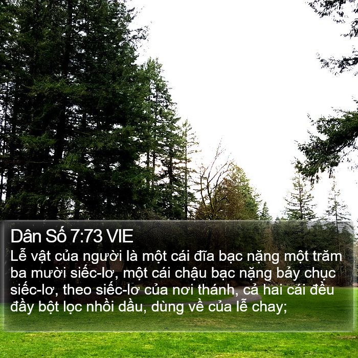 Dân Số 7:73 VIE Bible Study