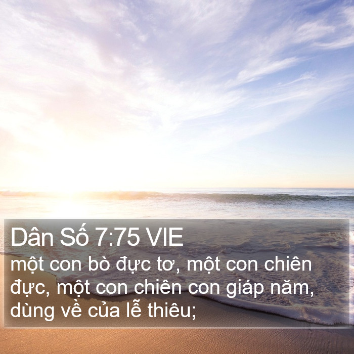 Dân Số 7:75 VIE Bible Study