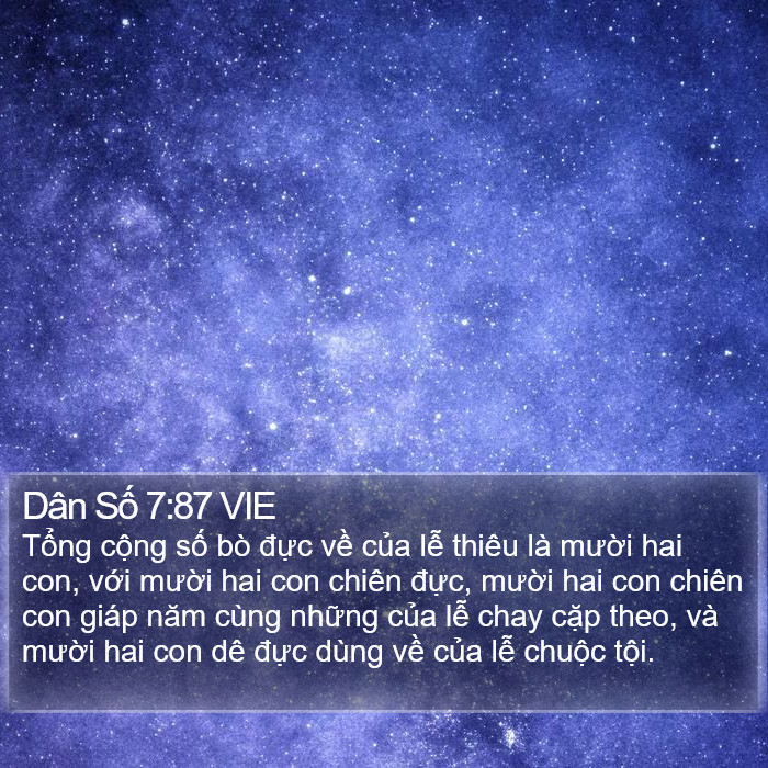 Dân Số 7:87 VIE Bible Study