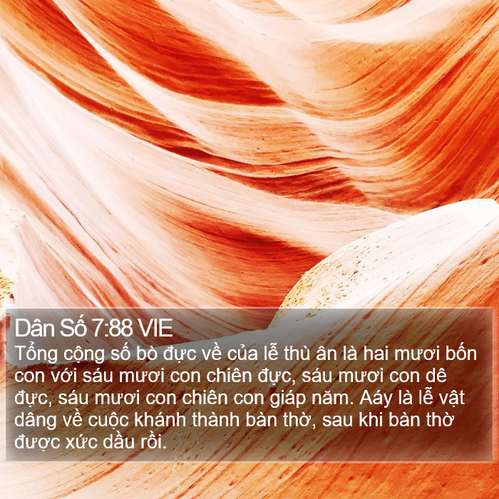 Dân Số 7:88 VIE Bible Study